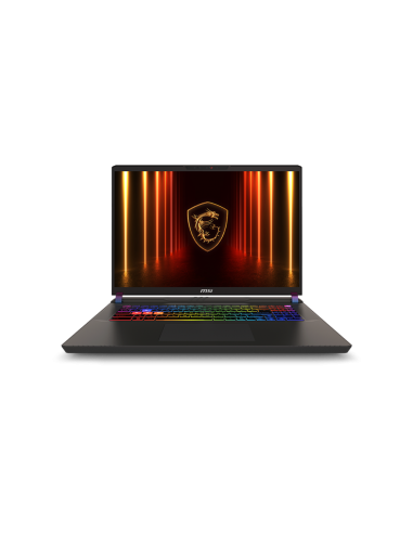 MSI VECTOR 17 HX AI A2XWJG